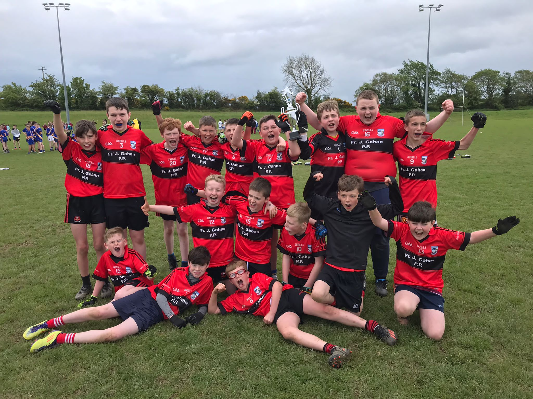 Cumann Na MBunscol - Article 29 - Wicklow GAA